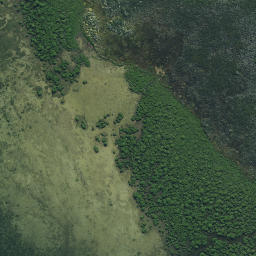 Satellite imagery of Green Point (Pungawiriwiri), NZ
