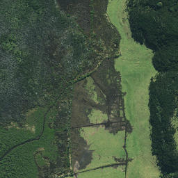 Satellite imagery of Green Point (Pungawiriwiri), NZ