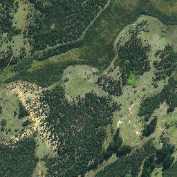 Satellite imagery of 631, NZ
