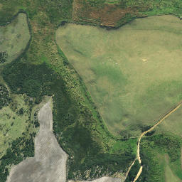 Satellite imagery of Perforated Point, NZ