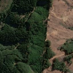 Satellite imagery of Cerro El Buitre, CL