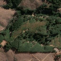 Satellite imagery of Cerro El Buitre, CL