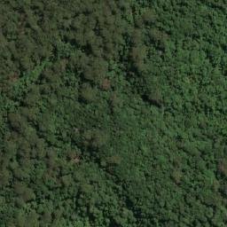 Satellite imagery of Good Dog Mountain, AU