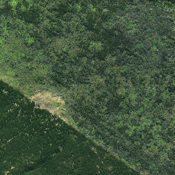 Satellite imagery of 1983 TE RAITE, NZ