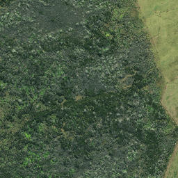 Satellite imagery of 1983 TE RAITE, NZ
