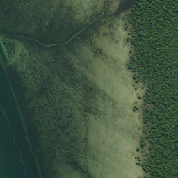 Satellite imagery of Green Point (Pungawiriwiri), NZ