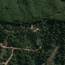 Satellite imagery of Cerro El Buitre, CL