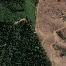 Satellite imagery of Cerro El Buitre, CL