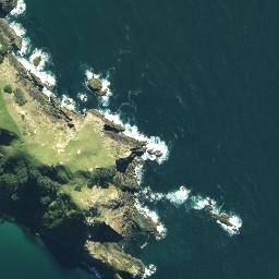 Satellite imagery of Farmer Point, NZ
