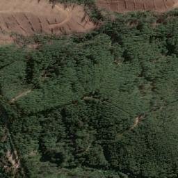 Satellite imagery of Cerro El Buitre, CL