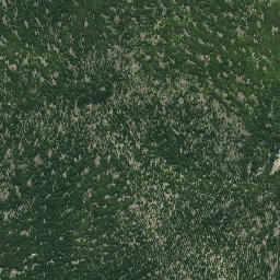 Satellite imagery of 623, NZ