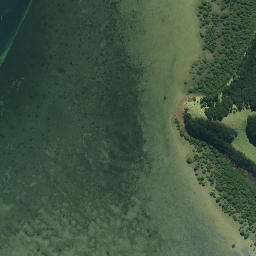 Satellite imagery of Tukauri Pa, NZ