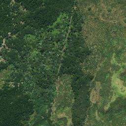 Satellite imagery of 625, NZ