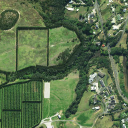Satellite imagery of Monkey Point, NZ
