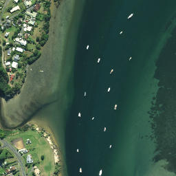Satellite imagery of Monkey Point, NZ