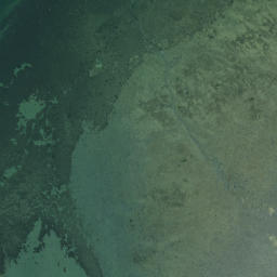 Satellite imagery of Monkey Point, NZ