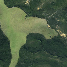 Satellite imagery of Perpendicular Point (Ruakoura), NZ