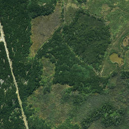 Satellite imagery of 625, NZ