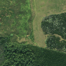 Satellite imagery of 625, NZ