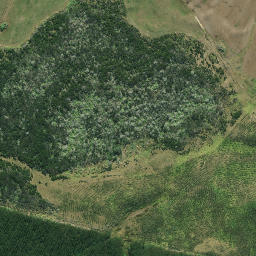 Satellite imagery of 625, NZ