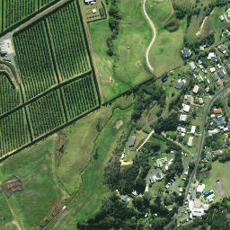 Satellite imagery of Monkey Point, NZ
