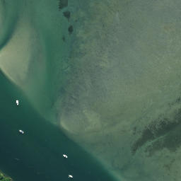 Satellite imagery of Monkey Point, NZ