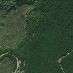Satellite imagery of 625, NZ