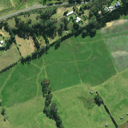 Satellite imagery of Monkey Point, NZ