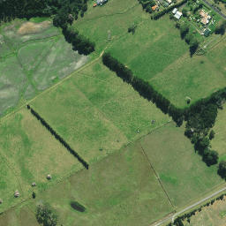 Satellite imagery of Monkey Point, NZ