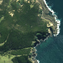 Satellite imagery of Stanley Point, NZ