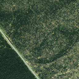 Satellite imagery of 624, NZ