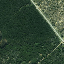 Satellite imagery of 624, NZ
