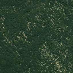 Satellite imagery of 626, NZ