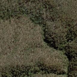 Satellite imagery of Dog Den Hill, AU