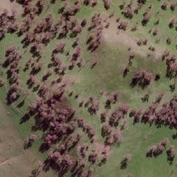 Satellite imagery of Mount Bundarbo, AU