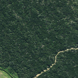 Satellite imagery of Muiata Pa, NZ