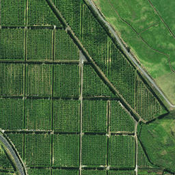 Satellite imagery of Muiata Pa, NZ