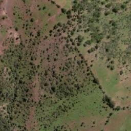 Satellite imagery of Cerro del Buitre, CL