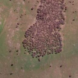 Satellite imagery of The Sisters, AU