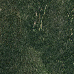 Satellite imagery of 661, NZ