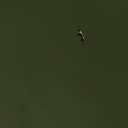 Satellite imagery of Roca El Ombú, UY