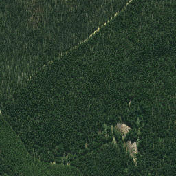 Satellite imagery of 663, NZ