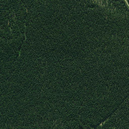 Satellite imagery of 663, NZ