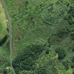 Satellite imagery of 1984 PUKEKAITARO, NZ