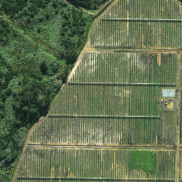 Satellite imagery of 1984 PUKEKAITARO, NZ