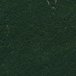 Satellite imagery of 664, NZ