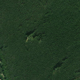 Satellite imagery of 664, NZ