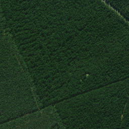 Satellite imagery of 664, NZ