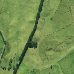 Satellite imagery of 1984 PUKEKAITARO, NZ