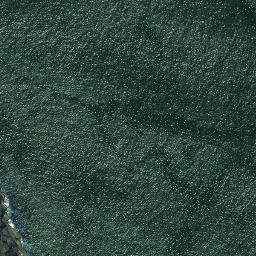 Satellite imagery of Motukukupa Point, NZ